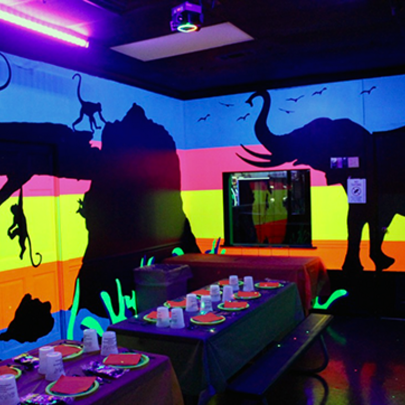 Safari Themed Room